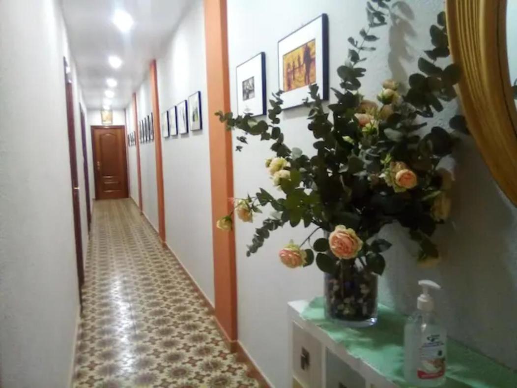 Las Golondrinas Zaragoza Habitacion Individual Exteriör bild
